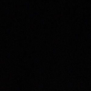 Meet your Posher, Bruce